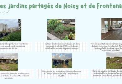 Les 5èmeDD à la découverte des jardins partagés