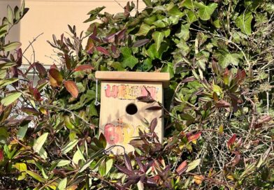 Des éco-délégués engagés pour la biodiversité