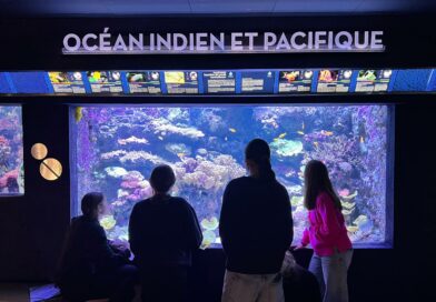 Visite du musée de l&rsquo;immigration par les 5èmeDD