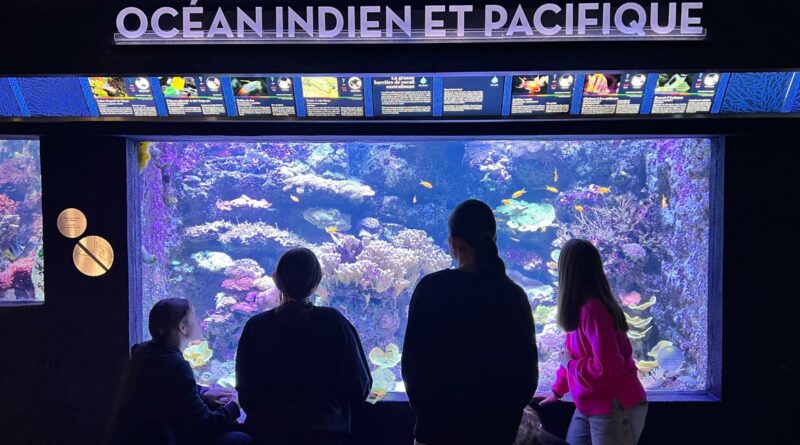 Visite du musée de l&rsquo;immigration par les 5èmeDD