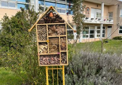 Bienvenue à tous les insectes !