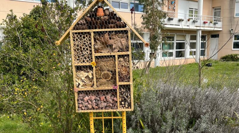 Bienvenue à tous les insectes !